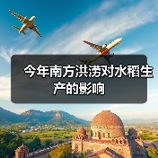 今年南方洪涝对水稻生产的影响(图4) 今年南方洪涝对水稻生产的影响(图4)
