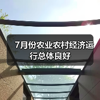 7月份农业农村经济运行总体良好(图4) 7月份农业农村经济运行总体良好(图4)