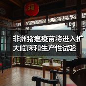非洲猪瘟疫苗将进入扩大临床和生产性试验(图3) 非洲猪瘟疫苗将进入扩大临床和生产性试验(图3)