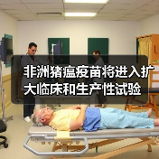 非洲猪瘟疫苗将进入扩大临床和生产性试验(图4) 非洲猪瘟疫苗将进入扩大临床和生产性试验(图4)