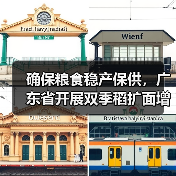 确保粮食稳产保供,广东省开展双季稻扩面增产提质行动(图1) 确保粮食稳产保供,广东省开展双季稻扩面增产提质行动(图1)