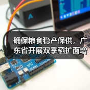 确保粮食稳产保供,广东省开展双季稻扩面增产提质行动(图3) 确保粮食稳产保供,广东省开展双季稻扩面增产提质行动(图3)
