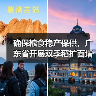 确保粮食稳产保供,广东省开展双季稻扩面增产提质行动(图4) 确保粮食稳产保供,广东省开展双季稻扩面增产提质行动(图4)