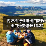 内燃机行业进出口数据:出口逆势增长16.22%(图3) 内燃机行业进出口数据:出口逆势增长16.22%(图3)