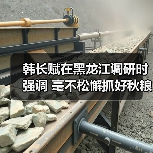 韩长赋在黑龙江调研时强调 毫不松懈抓好秋粮生产 全力夺取全年粮食和农业丰收(图3) 韩长赋在黑龙江调研时强调 毫不松懈抓好秋粮生产 全力夺取全年粮食和农业丰收(图3)