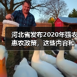 河北省发布2020年强农惠农政策,这些内容和你有关!(图1) 河北省发布2020年强农惠农政策,这些内容和你有关!(图1)