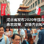 河北省发布2020年强农惠农政策,这些内容和你有关!(图3) 河北省发布2020年强农惠农政策,这些内容和你有关!(图3)