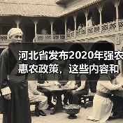 河北省发布2020年强农惠农政策,这些内容和你有关!(图4) 河北省发布2020年强农惠农政策,这些内容和你有关!(图4)