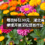 每亩补贴30元,湖北省继续开展深松整地作业补助试点工作(图2) 每亩补贴30元,湖北省继续开展深松整地作业补助试点工作(图2)