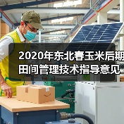 2020年东北春玉米后期田间管理技术指导意见(图1) 2020年东北春玉米后期田间管理技术指导意见(图1)