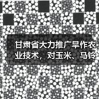 甘肃省大力推广旱作农业技术,对玉米、马铃薯所需地膜给予直接补贴!(图2) 甘肃省大力推广旱作农业技术,对玉米、马铃薯所需地膜给予直接补贴!(图2)