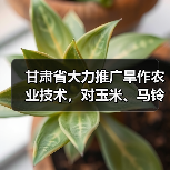 甘肃省大力推广旱作农业技术,对玉米、马铃薯所需地膜给予直接补贴!(图3) 甘肃省大力推广旱作农业技术,对玉米、马铃薯所需地膜给予直接补贴!(图3)