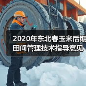 2020年东北春玉米后期田间管理技术指导意见(图4) 2020年东北春玉米后期田间管理技术指导意见(图4)