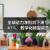 全柴动力净利润下滑11.41%,数字化转型能否逆袭?(图4) 全柴动力净利润下滑11.41%,数字化转型能否逆袭?(图4)