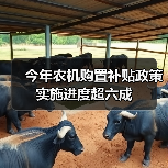 今年农机购置补贴政策实施进度超六成(图3) 今年农机购置补贴政策实施进度超六成(图3)