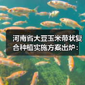 河南省大豆玉米带状复合种植实施方案出炉:按照每亩200元标准给予补助(图2) 河南省大豆玉米带状复合种植实施方案出炉:按照每亩200元标准给予补助(图2)