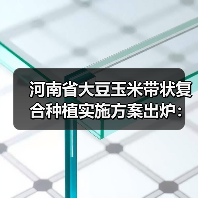 河南省大豆玉米带状复合种植实施方案出炉:按照每亩200元标准给予补助(图3) 河南省大豆玉米带状复合种植实施方案出炉:按照每亩200元标准给予补助(图3)