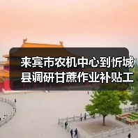 来宾市农机中心到忻城县调研甘蔗作业补贴工作(图1) 来宾市农机中心到忻城县调研甘蔗作业补贴工作(图1)