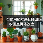 各地积极推进丘陵山区农田宜机化改造(图3) 各地积极推进丘陵山区农田宜机化改造(图3)