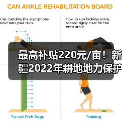 最高补贴220元/亩!新疆2022年耕地地力保护补贴实施方案出炉(图2) 最高补贴220元/亩!新疆2022年耕地地力保护补贴实施方案出炉(图2)