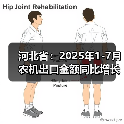 河北省：2025年1-7月农机出口金额同比增长24.86%（图3）