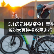 5.1亿元补贴资金!贵州省对大豆种植农民进行物化补助(图2) 5.1亿元补贴资金!贵州省对大豆种植农民进行物化补助(图2)
