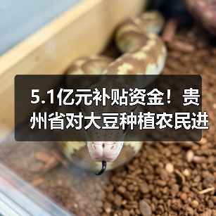 5.1亿元补贴资金!贵州省对大豆种植农民进行物化补助(图1) 5.1亿元补贴资金!贵州省对大豆种植农民进行物化补助(图1)