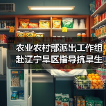 农业农村部派出工作组赴辽宁旱区指导抗旱生产（图2）