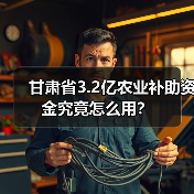 甘肃省3.2亿农业补助资金究竟怎么用？（图1）