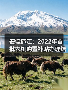 安徽庐江:2022年首批农机购置补贴办理结束(图3) 安徽庐江:2022年首批农机购置补贴办理结束(图3)