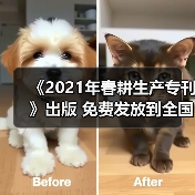 《2021年春耕生产专刊》出版 免费发放到全国800个产粮大县(图3) 《2021年春耕生产专刊》出版 免费发放到全国800个产粮大县(图3)