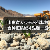 山东省大豆玉米带状复合种植机械补贴额一览表公示(图1) 山东省大豆玉米带状复合种植机械补贴额一览表公示(图1)