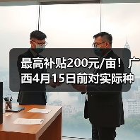 最高补贴200元/亩!广西4月15日前对实际种粮农民发放一次性补贴(图3) 最高补贴200元/亩!广西4月15日前对实际种粮农民发放一次性补贴(图3)