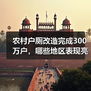 农村户厕改造完成300万户,哪些地区表现亮眼?(图3) 农村户厕改造完成300万户,哪些地区表现亮眼?(图3)