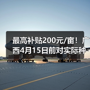 最高补贴200元/亩!广西4月15日前对实际种粮农民发放一次性补贴(图4) 最高补贴200元/亩!广西4月15日前对实际种粮农民发放一次性补贴(图4)