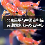 北京昌平与中国农科院共建国家未来农业中心（图1）