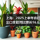 上海:2025上半年农机出口金额同比增长16.61%(图3) 上海:2025上半年农机出口金额同比增长16.61%(图3)