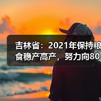 吉林省:2021年保持粮食稳产高产,努力向800亿斤迈进(图1) 吉林省:2021年保持粮食稳产高产,努力向800亿斤迈进(图1)