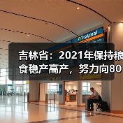 吉林省:2021年保持粮食稳产高产,努力向800亿斤迈进(图2) 吉林省:2021年保持粮食稳产高产,努力向800亿斤迈进(图2)