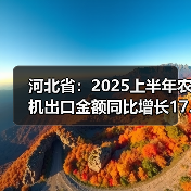 河北省：2025上半年农机出口金额同比增长17.71%（图3）