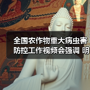 全国农作物重大病虫害防控工作视频会强调 明确目标 压实责任 坚决打赢“虫口夺粮”攻坚战(图1) 全国农作物重大病虫害防控工作视频会强调 明确目标 压实责任 坚决打赢“虫口夺粮”攻坚战(图1)