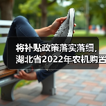将补贴政策落实落细,湖北省2022年农机购置补贴工作进行中(图4) 将补贴政策落实落细,湖北省2022年农机购置补贴工作进行中(图4)