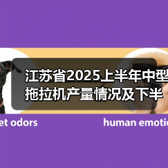 江苏省2025上半年中型拖拉机产量情况及下半年出口趋势预测(图1) 江苏省2025上半年中型拖拉机产量情况及下半年出口趋势预测(图1)