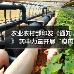 农业农村部印发《通知》 集中力量开展“瘦肉精”专项整治(图1) 农业农村部印发《通知》 集中力量开展“瘦肉精”专项整治(图1)