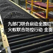 九部门联合启动全国红火蚁联合防控行动 全面遏制红火蚁扩散危害保安全（图4）