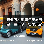农业农村部联合宁夏开展“三下乡”集中示范活动(图4) 农业农村部联合宁夏开展“三下乡”集中示范活动(图4)