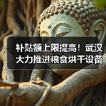 补贴额上限提高!武汉大力推进粮食烘干设备产业发展(图3) 补贴额上限提高!武汉大力推进粮食烘干设备产业发展(图3)