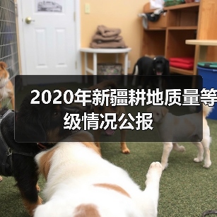 2020年新疆耕地质量等级情况公报(图1) 2020年新疆耕地质量等级情况公报(图1)