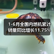 1-6月全国内燃机累计销量同比增长11.75%（图1）