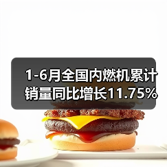 1-6月全国内燃机累计销量同比增长11.75%（图3）